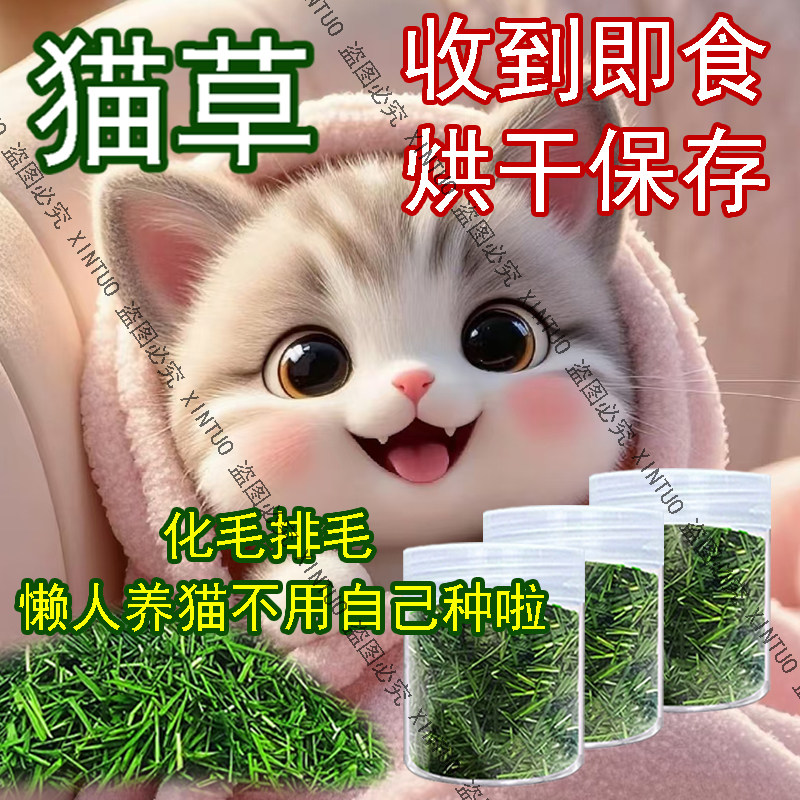 XINTUO自种即食猫咪猫草烘干幼猫成猫食草化毛球营养干草猫草排毛