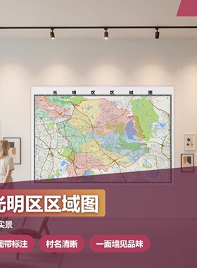 光明区区域图 现代简约装饰画 办公室挂画 定制地图挂图
