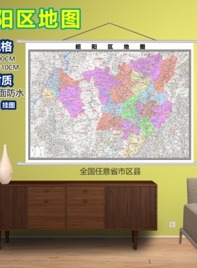 昭阳区区域村庄交通道路乡镇分布地域磁性办公室挂图