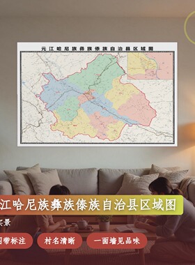 元江哈尼族彝族傣族自治县区域图 现代简约装饰画 办公室挂画
