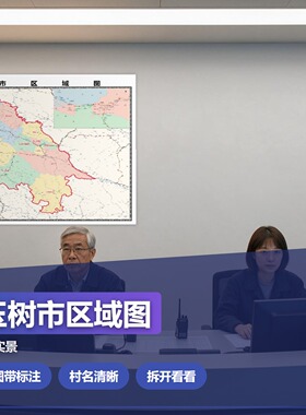 玉树市区域图 现代简约装饰画 办公室挂画 定制地图挂图