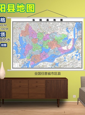 枞阳县区域村庄交通道路乡镇分布地域磁性办公室挂图