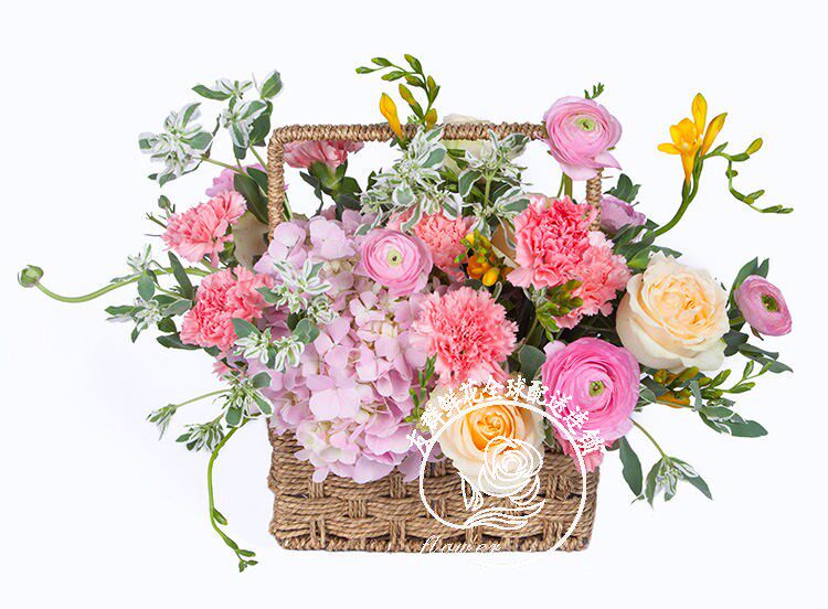 康乃馨桌面全国节日探望花篮
