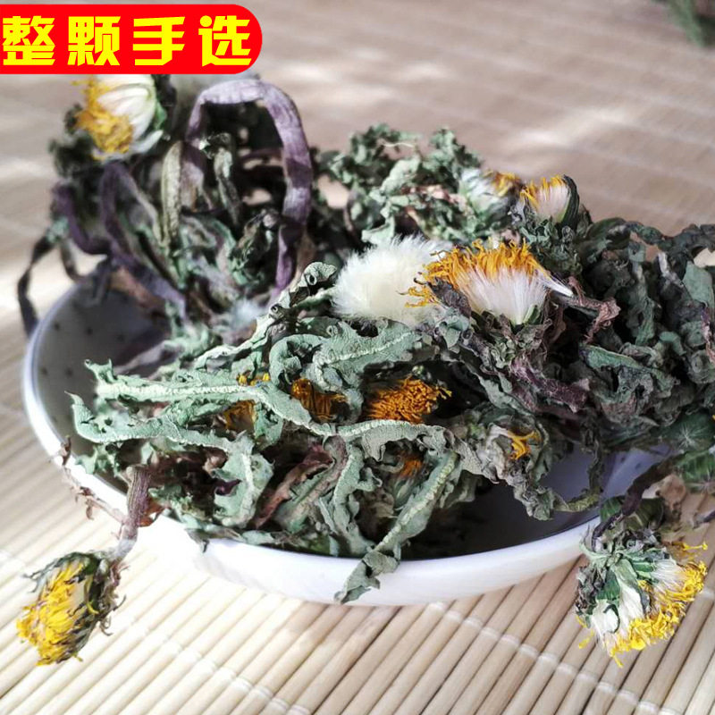 蒲公英干草多年生干材整颗带根散