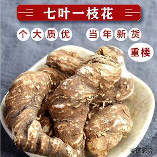 云南重楼正宗重楼个七叶一枝花中药材白蚤休正品干货独角头草plus
