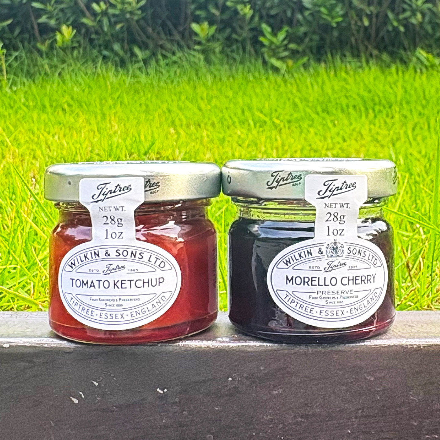 英国进口缇树Tiptree番茄酱樱桃酱28g瓶装调味品薯条面包调味酱