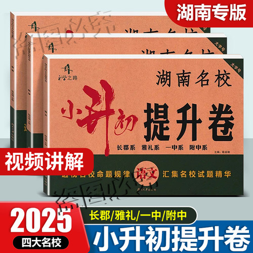 正版湖南名校小升初提升卷