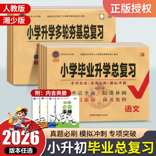 神龙小升初总复习全一册