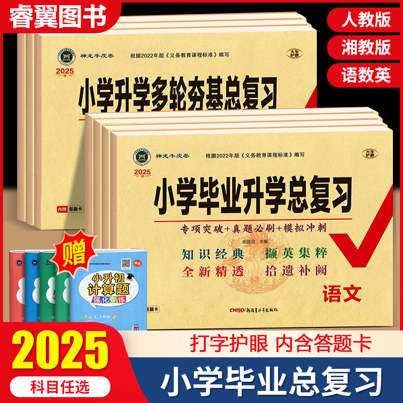 神龙小升初总复习全一册