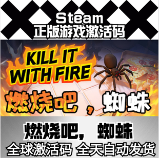 Kill With Fire 激活入库 Steam正版 激活码 国区燃烧吧蜘蛛