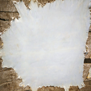 厂家直销优质山羊皮乐器革/山羊皮鼓皮/带弦乐器皮/牛皮/羊皮鼓皮