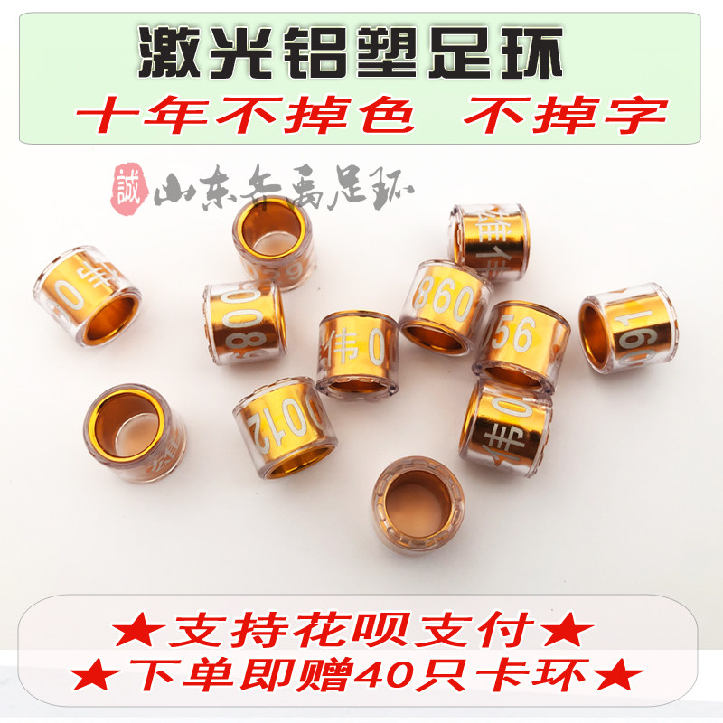 信鸽足环私人定制  激光刻字密封环 鸽子脚环订做