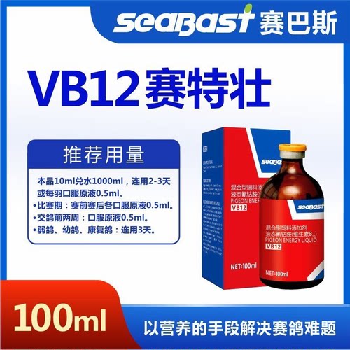 赛巴斯 VB12 赛特壮 100cc