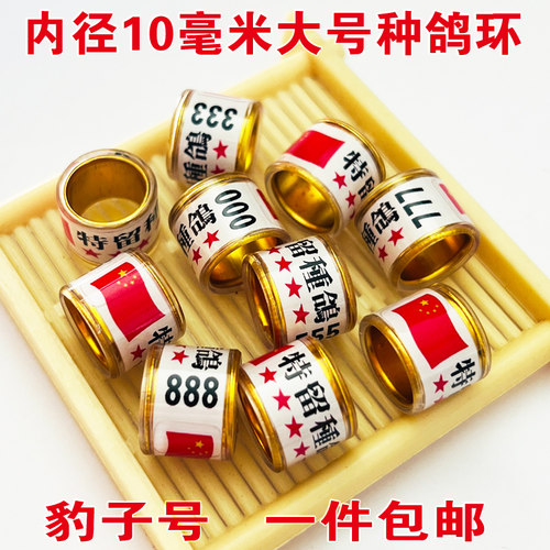 种鸽环成年鸽鸽子脚环特留种足环