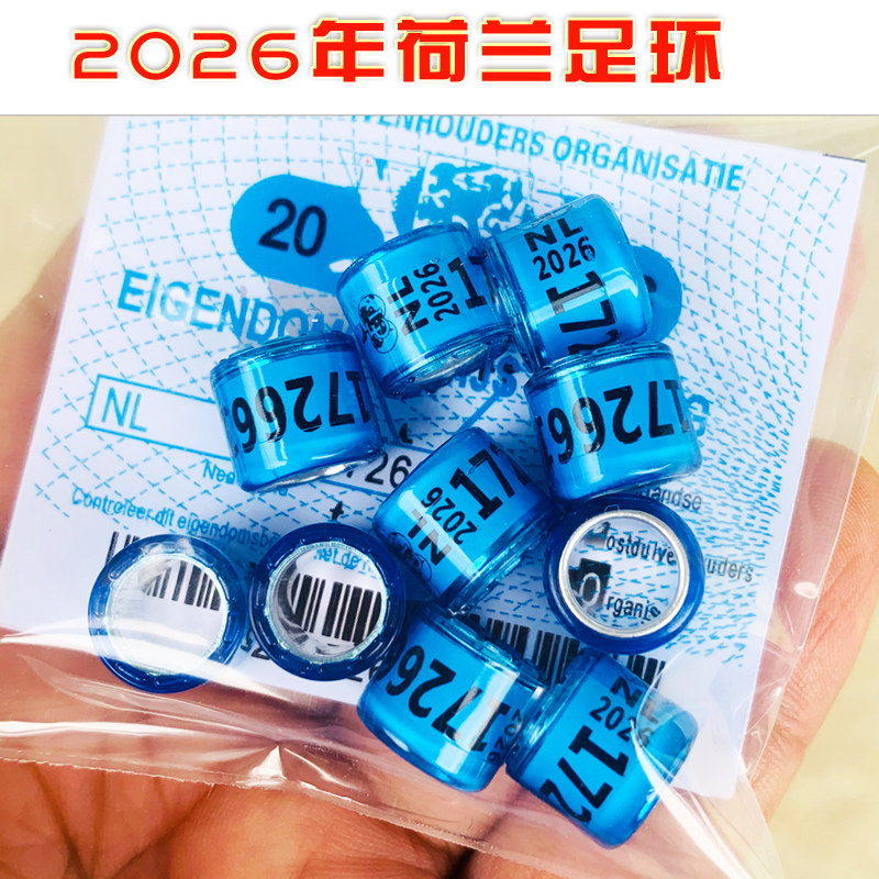2026年信鸽环鸽子脚环荷兰比利时