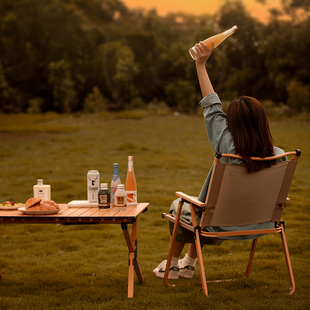 大迈轻便折叠靠背椅DM-2005舒适耐磨榉木扶手人体设计一秒折叠