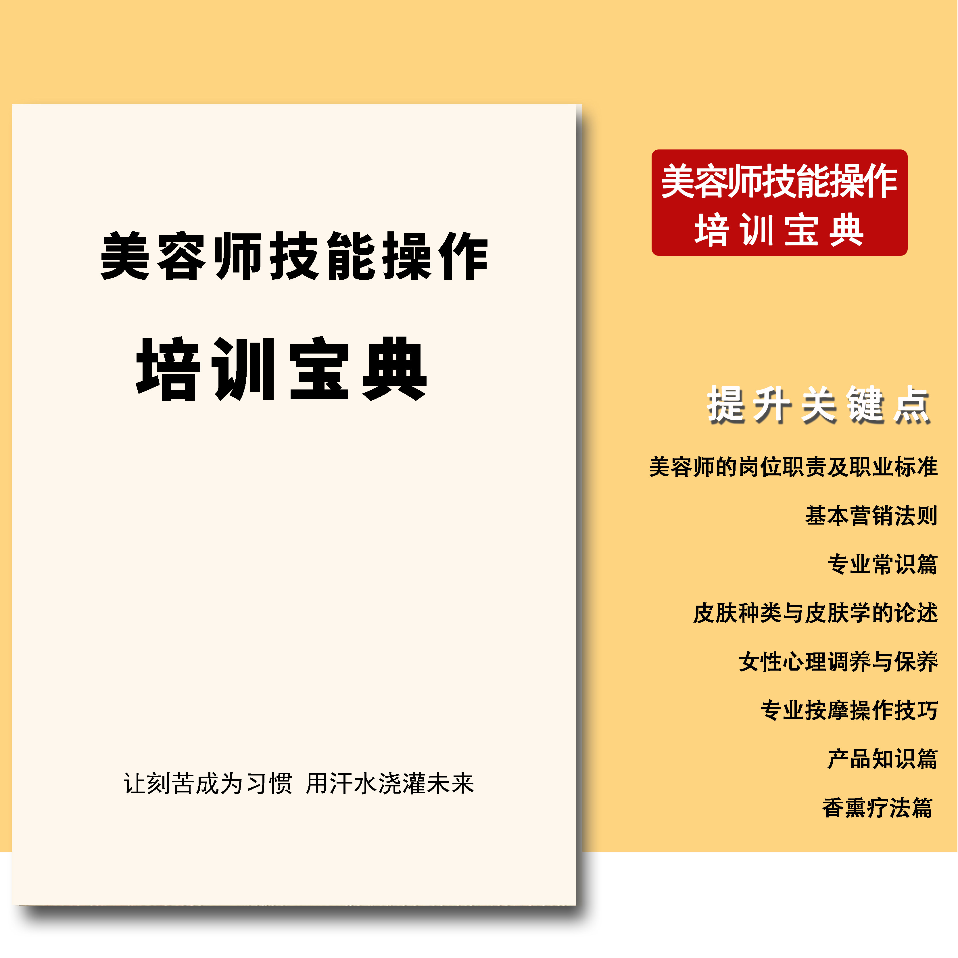 /美容师技能操作培训宝典/导师岗位职责营销技巧皮肤按摩操作书籍