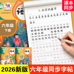 六年级上册下册练字帖人教版小学生语文同步正楷初学6每日一练钢笔字练字本写字课课练同步字帖楷书专用英语硬笔书法练习生字临摹