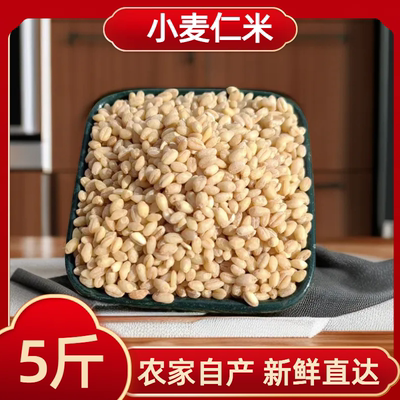 东北食用新鲜小麦仁五谷杂粮麦粒