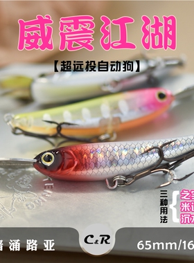 暗涌超远投16.8克/6.5cm百变自动之字狗水面系鳡鱼浮水铅笔路亚饵