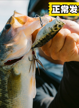 路标&ADUSTA联名68F13g水翼波趴水面系鲈鱼饵路亚波爬翘嘴海假饵