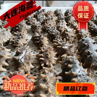 大连即食海参深海底播长海县辽刺参500g礼盒7年单个装口感好