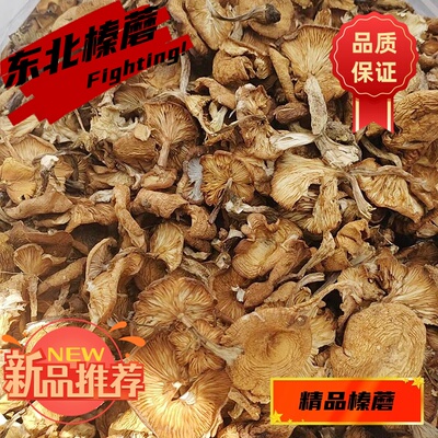 新货东北特产现摘榛蘑丁新鲜小蘑菇干货无根小鸡炖蘑菇臻蘑精品