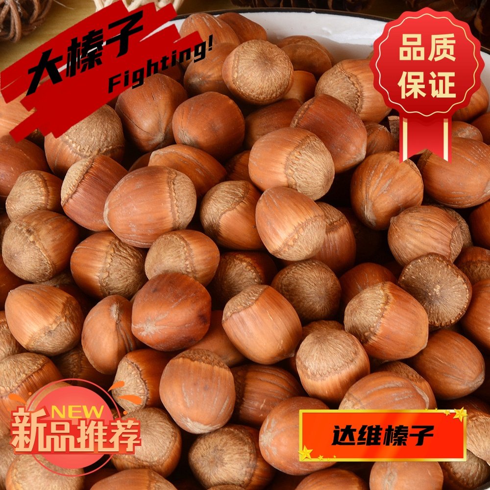 东北特产大榛子手拍大颗粒新货炒熟香甜原味薄皮达维坚果干果零食