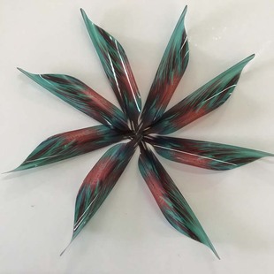 迪酷特COTO反曲螺旋箭羽卷羽DIY螺旋羽反曲弓竞技弓箭射准旋羽