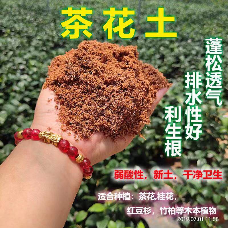 Camellia Dedicated Nutrient Dedicated Red earth Sandy Red earth Coconut husk Peat Acidic soil plantin the Flower delivery/Flowers simulation/Plants gardening , Gardening supplies , Gardening Fertilizer/Nutrient/Nutrient solution  category - from Buy2taobao.com to provide professional Taobao agent buy service