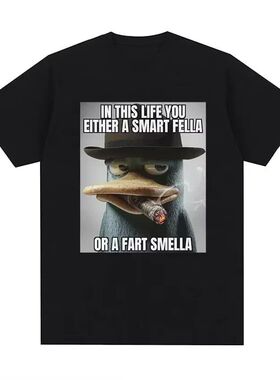 Either A Smart Fella要么是个聪明人潮流休闲圆领短袖T恤男女