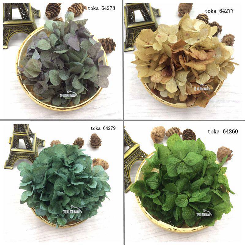 日本进口原装TOKA永生花大叶绣球配复古色DIY玻璃罩配花批 发在类目 家居饰品, 花瓶/花器/仿真花/仿真饰品, 干花/花瓣/干花包/干树枝中 - 来自Buy2taobao.com提供专业的淘宝代购服务