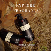 木质香氛洗发水控油蓬松去屑止痒持久留香柔顺清洁洗护套装 酒店