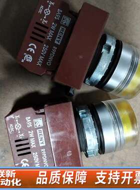 RENY雷力红色按钮，型号R9C10VN，24V，多个，