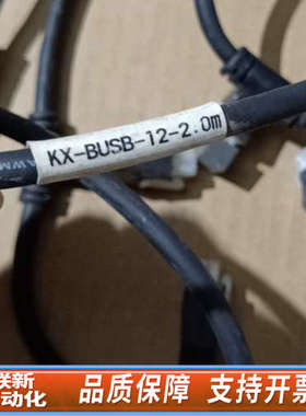 联新设备和利时AB线缆A、B网12插头KX-BUSA(BUSB）-1