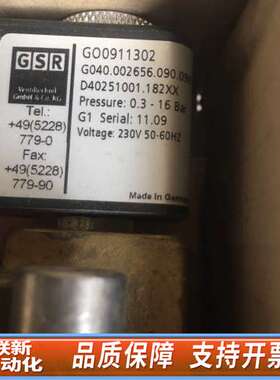 GSR GO0911302 G040.002656.090.