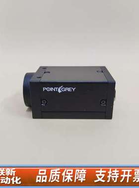 POINT GREY/灰点 GS3-U3-32S4C-C 工
