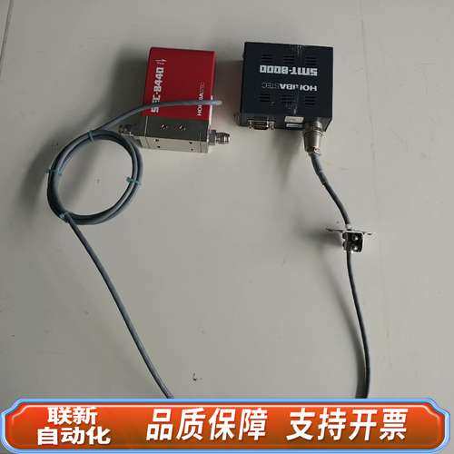 HORIBA SMT-8000流量计H20 200SCCM