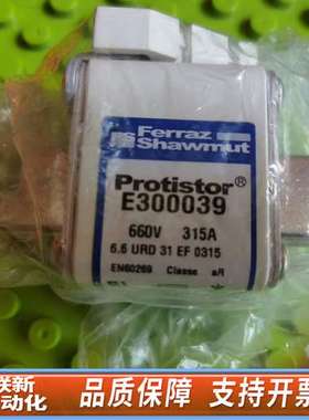 E300039 660B  315A   2个  熔断器