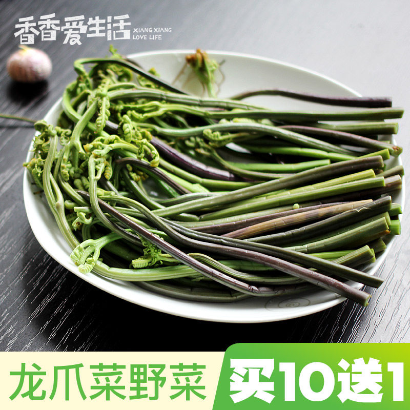 云南特产新鲜龙爪菜 野生蕨菜蔬其它