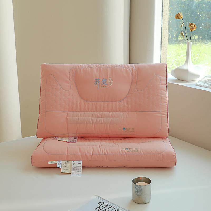 2024年新款荞麦草本牵引枕头保健48x74cm单人亲肤羽丝绒枕芯一对