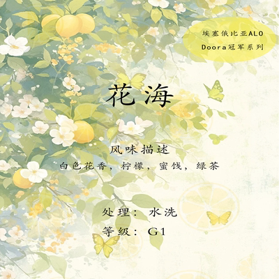 埃塞俄比亚 Alo G1 水洗 花海咖啡豆 挂耳咖啡 高品质 新鲜现烘