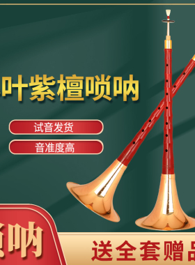 新艺唢呐乐器初学者全套科檀小叶紫檀唢呐ABCDEFG调厂家直销喇叭