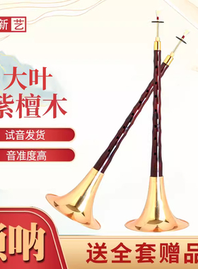 新艺乐器精品大叶紫檀唢呐乐器全套成人专业演奏BDG调喇叭初学者