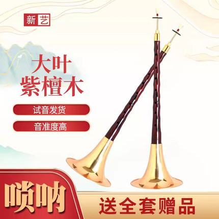 新艺乐器精品大叶紫檀唢呐乐器全套成人专业演奏BDG调喇叭初学者