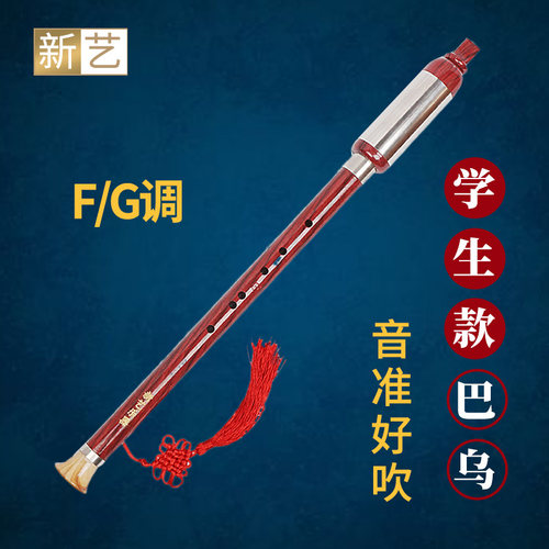 巴乌乐器小学生专业演奏