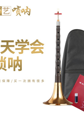 新艺乌木唢呐专业演奏级全套D调唢呐初学者入门级大小号喇叭