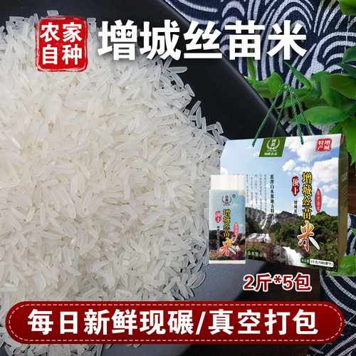 广东油粘米煲仔饭增城丝苗米