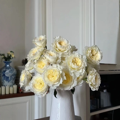 奥斯汀伦敦眼朱丽叶香水宝塔玫瑰