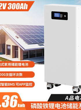 51.2V300AH家庭储能落地款锂电池15度电30度电磷酸铁锂电池15kwh